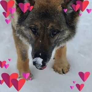 Meet your Posher, Kimberly